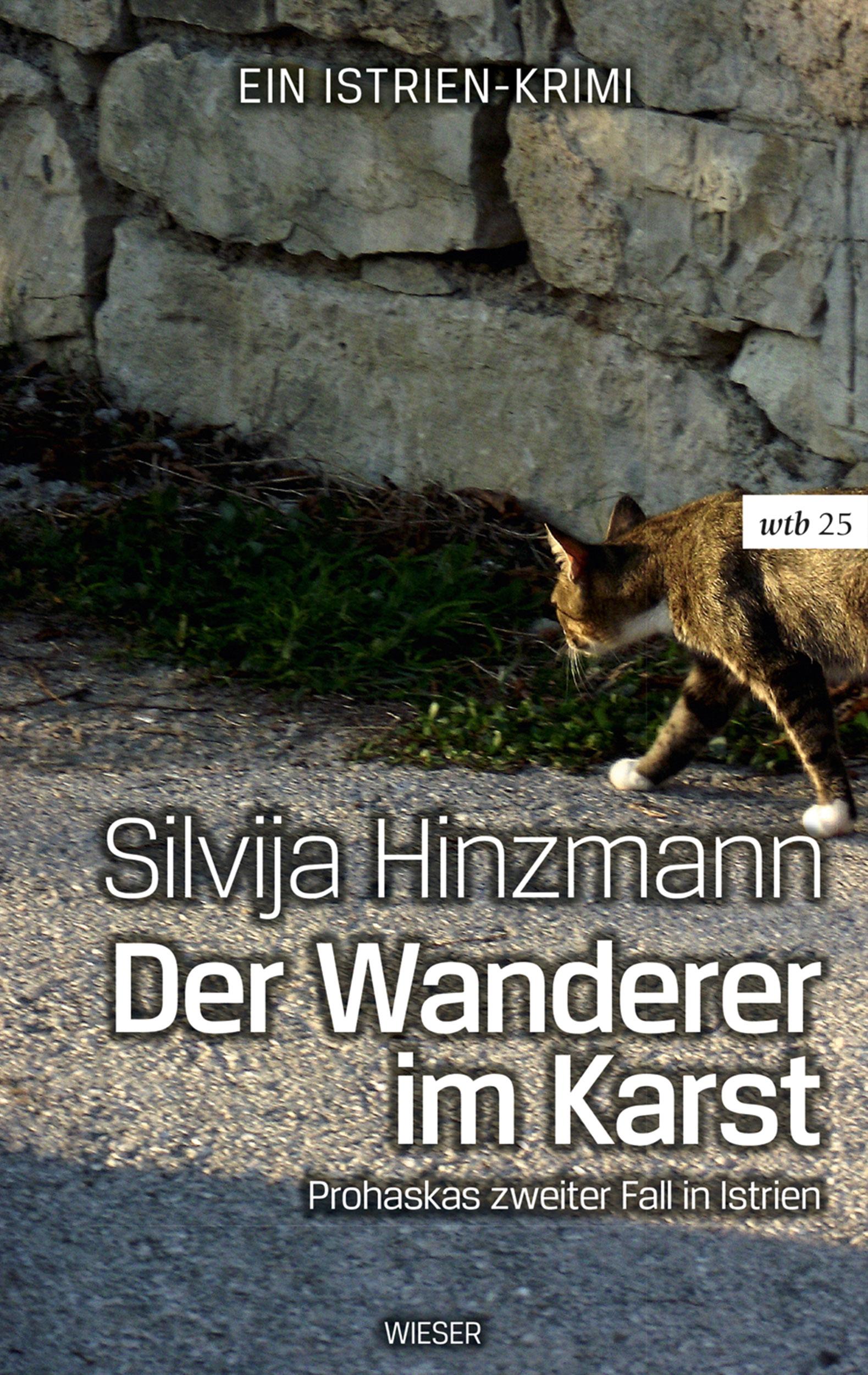 Vorderes Coverbild Der Wanderer im Karst