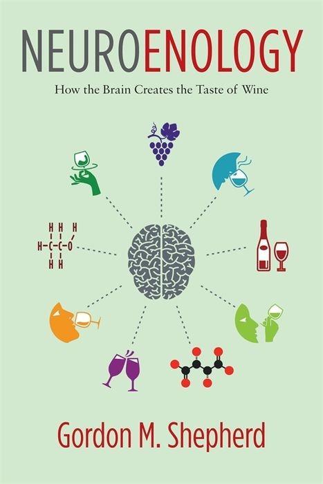 Vorderes Coverbild Neuroenology