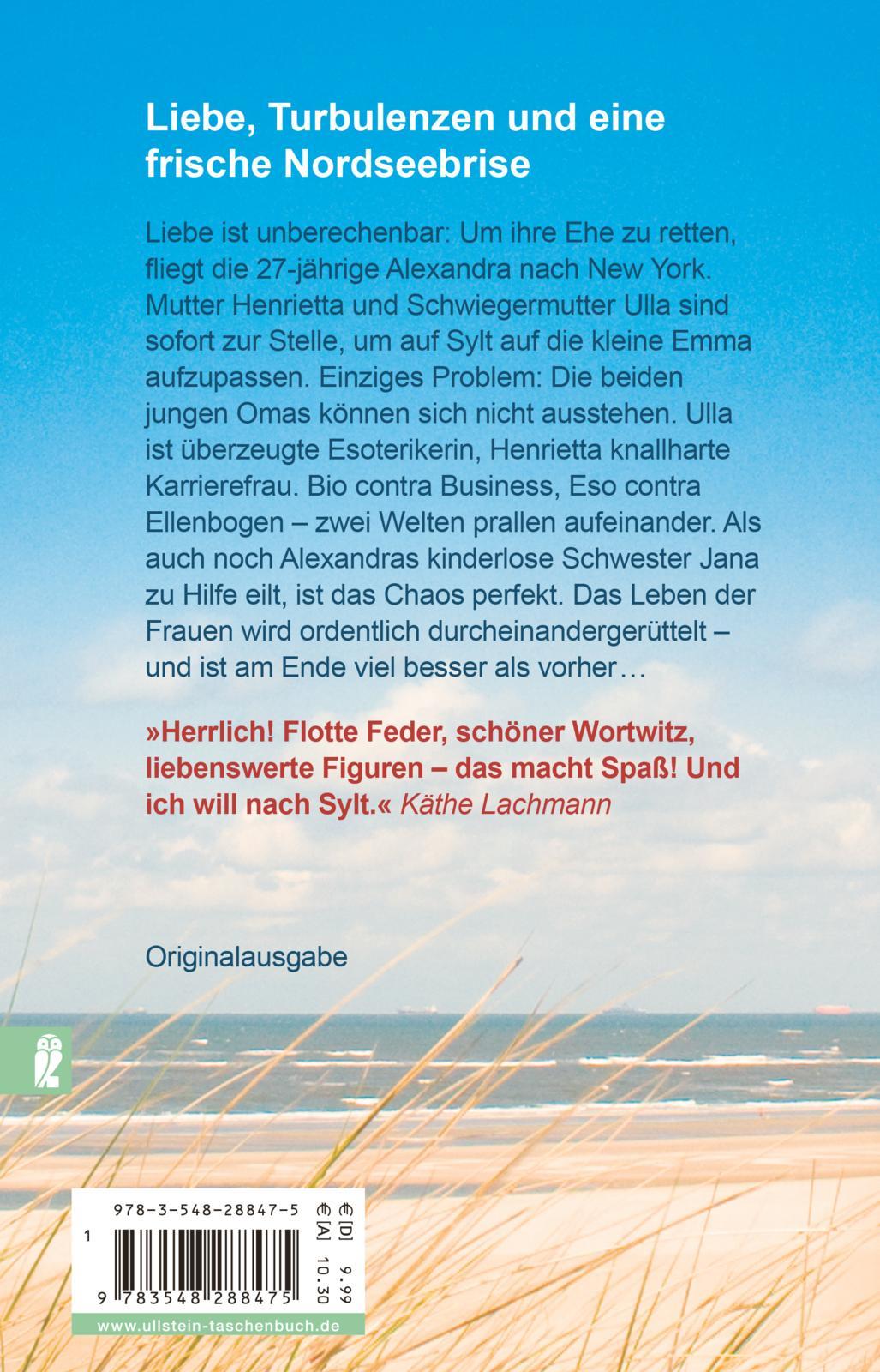 Rückseitencover Meer Liebe auf Sylt