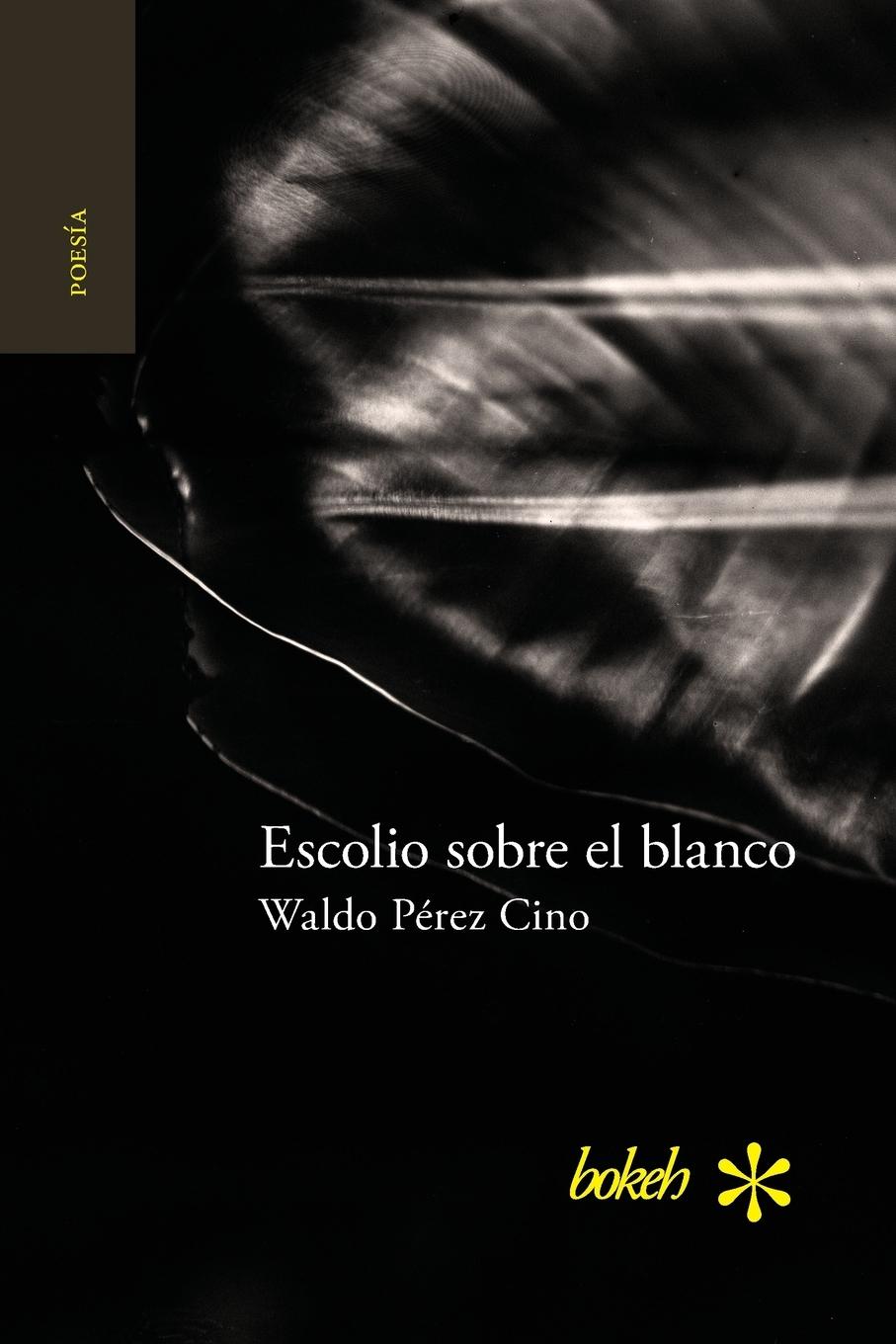 Vorderes Coverbild Escolio sobre el blanco