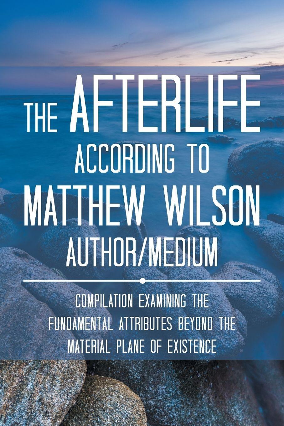 Vorderes Coverbild The Afterlife According to Matthew Wilson Author/Medium