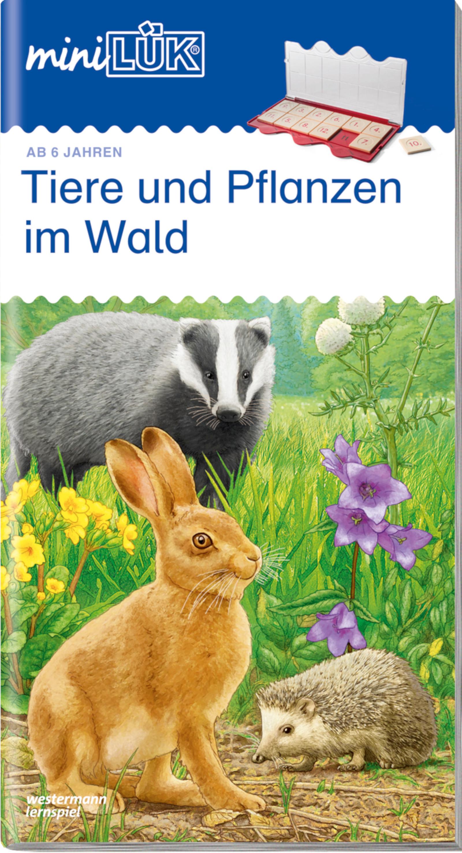 Vorderes Coverbild miniLÜK. Tiere und Pflanzen: im Wald