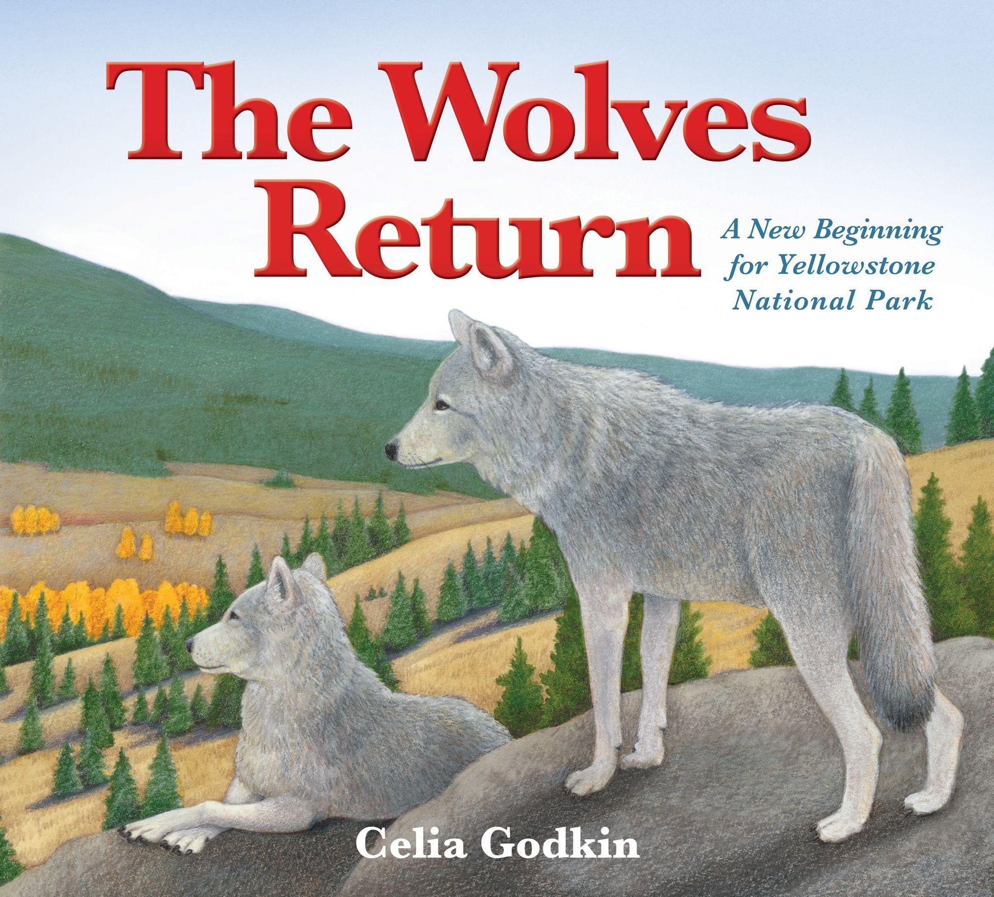 Vorderes Coverbild The Wolves Return