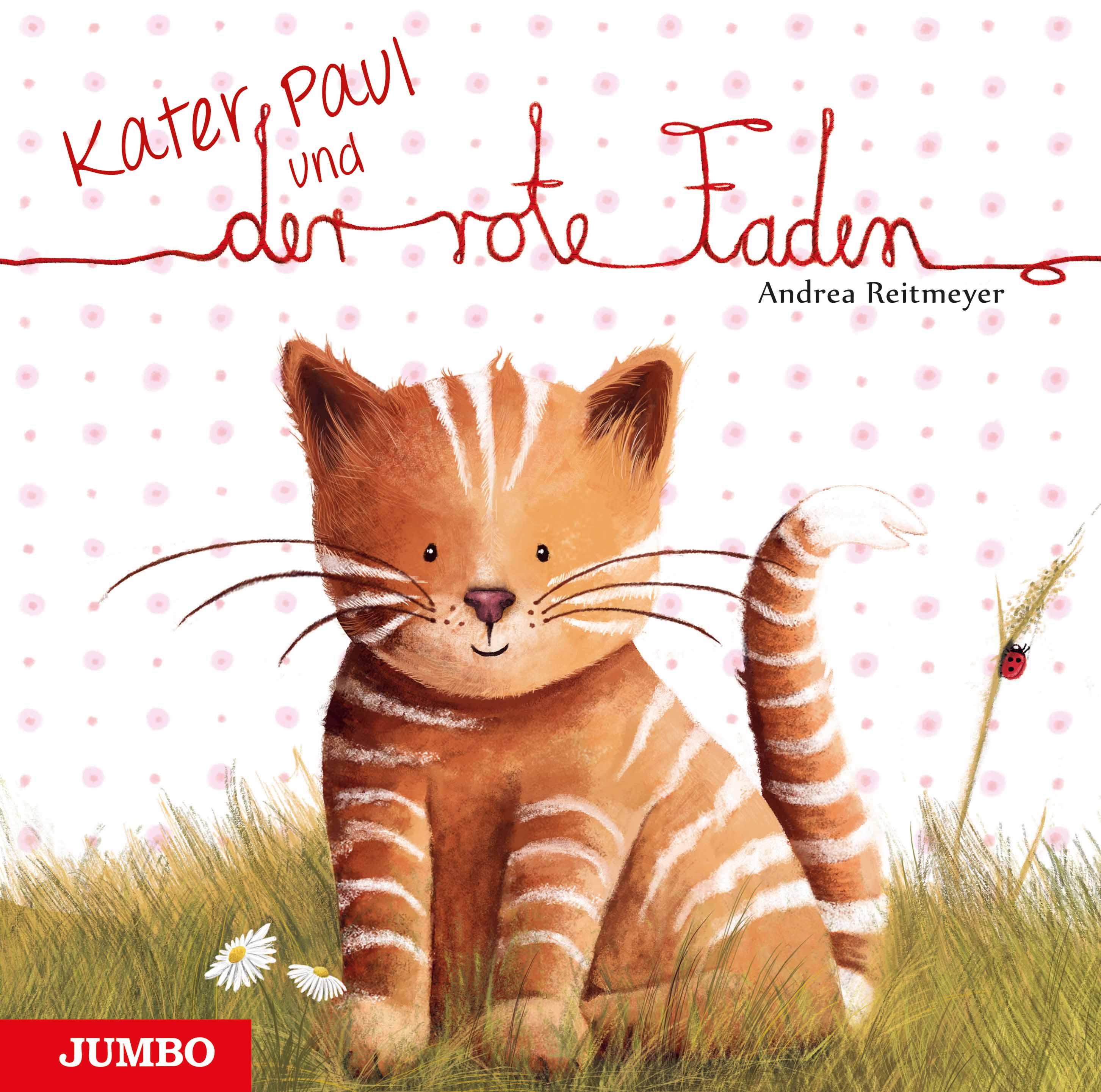 Vorderes Coverbild Kater Paul und der rote Faden