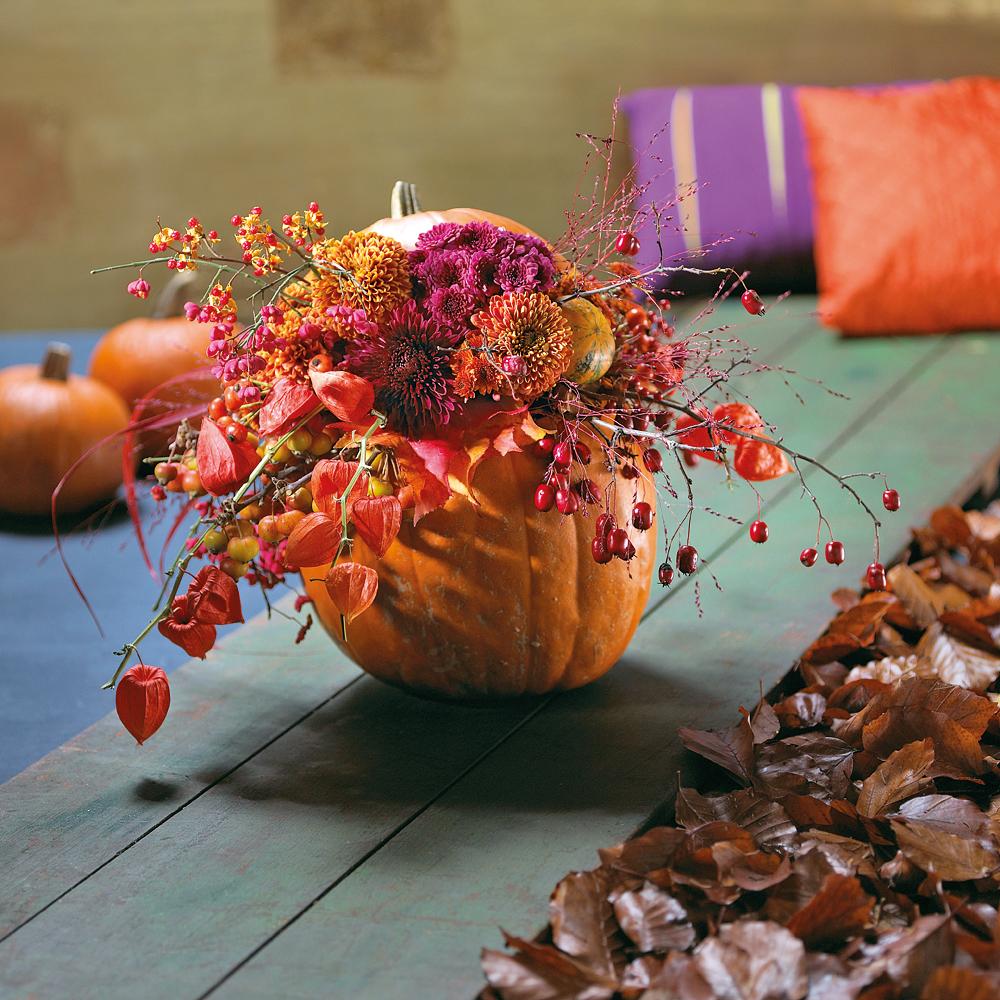 Beispielinhalt (Bild) Herbstzeit