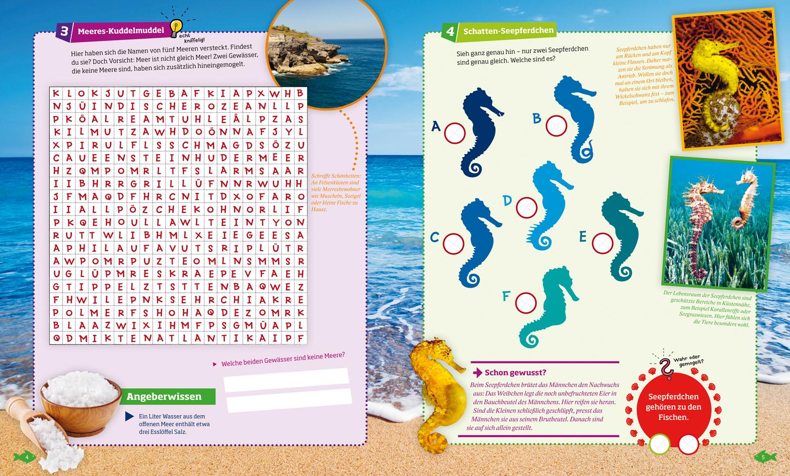 Beispielinhalt (Bild) WAS IST WAS Rätseln und Stickern: Meer