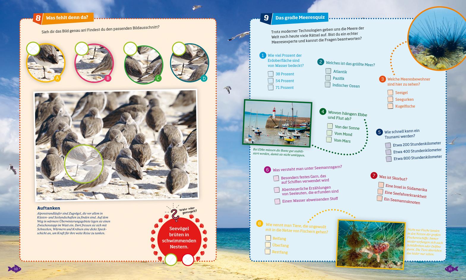 Beispielinhalt (Bild) WAS IST WAS Rätseln und Stickern: Meer