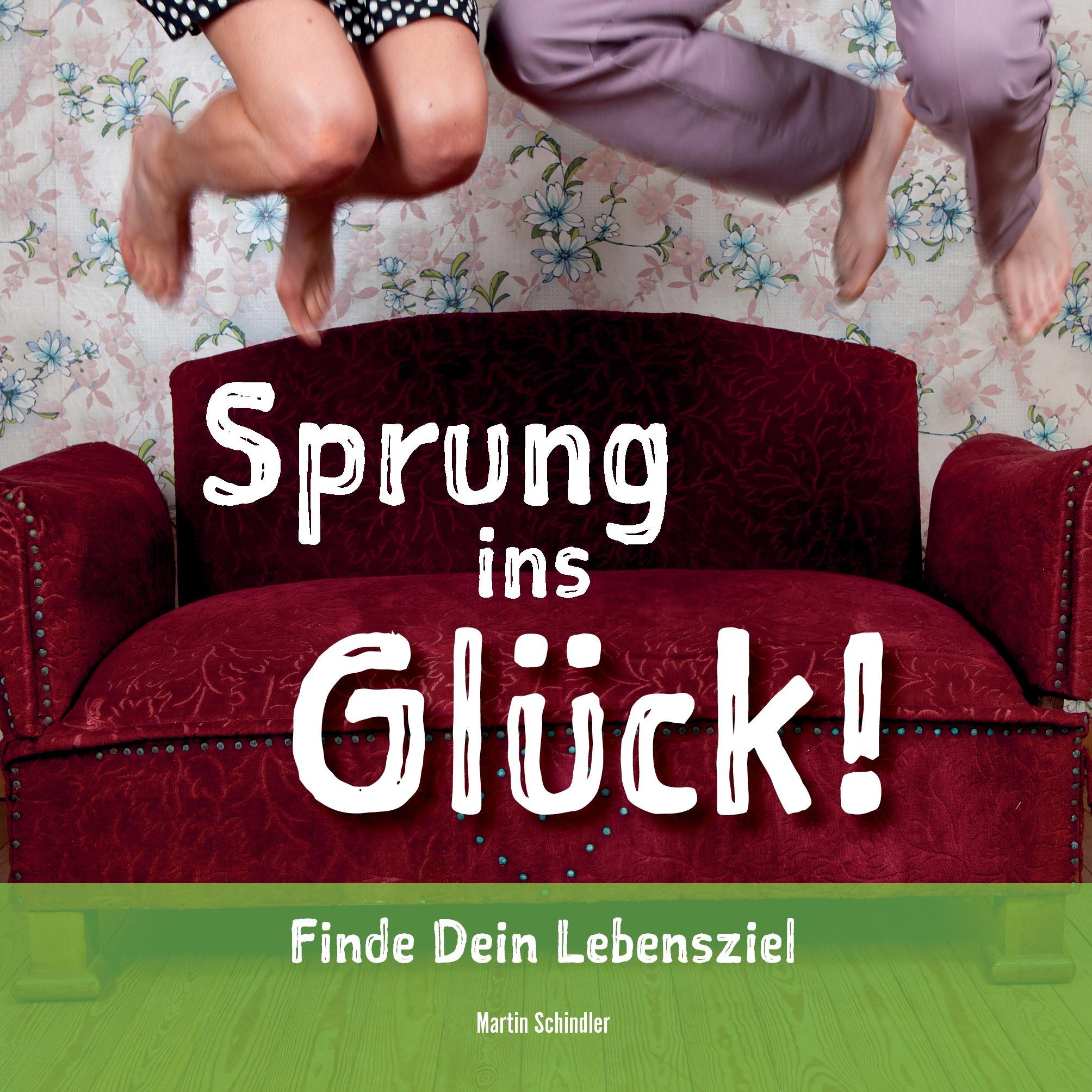 Vorderes Coverbild Sprung ins Glück!