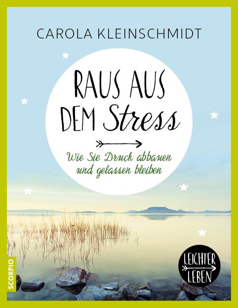 Vorderes Coverbild Raus aus dem Stress!