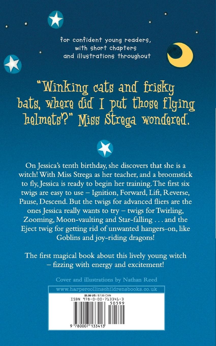 Rückseitencover Flying Lessons