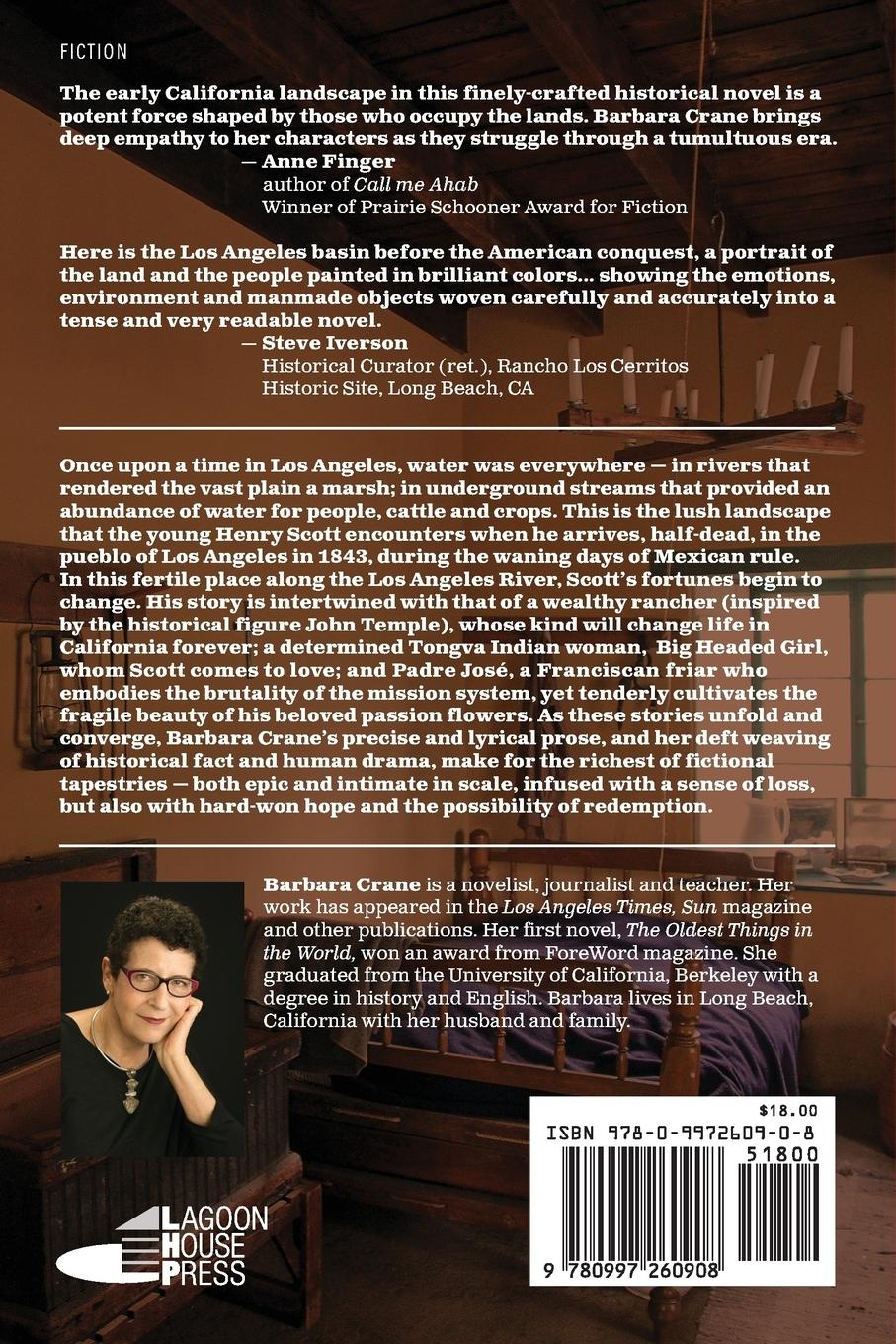 Rückseitencover When Water Was Everywhere