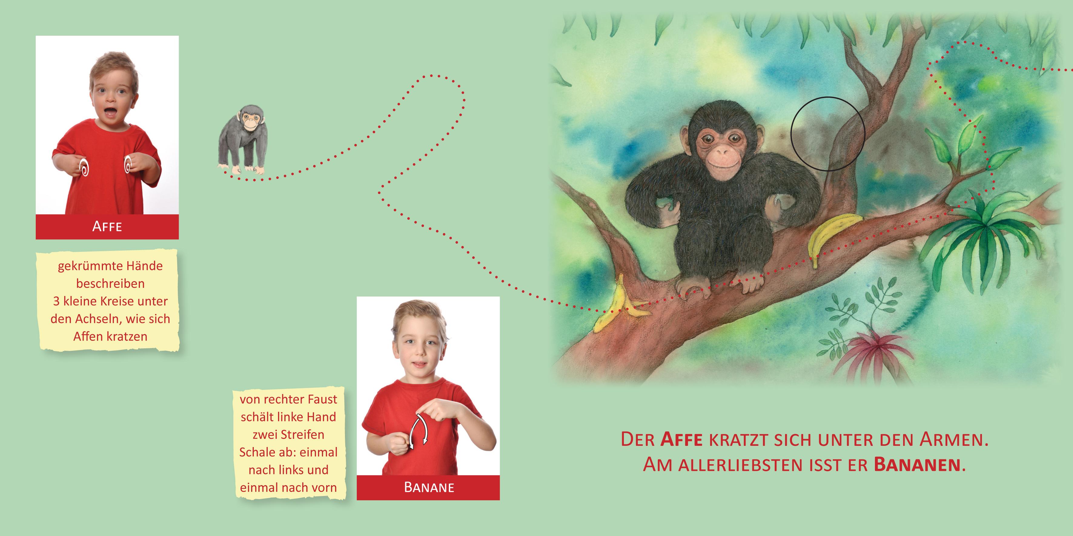 Beispielinhalt (Bild) Mit Babyzeichen die Welt entdecken: Tiere aus dem Zoo