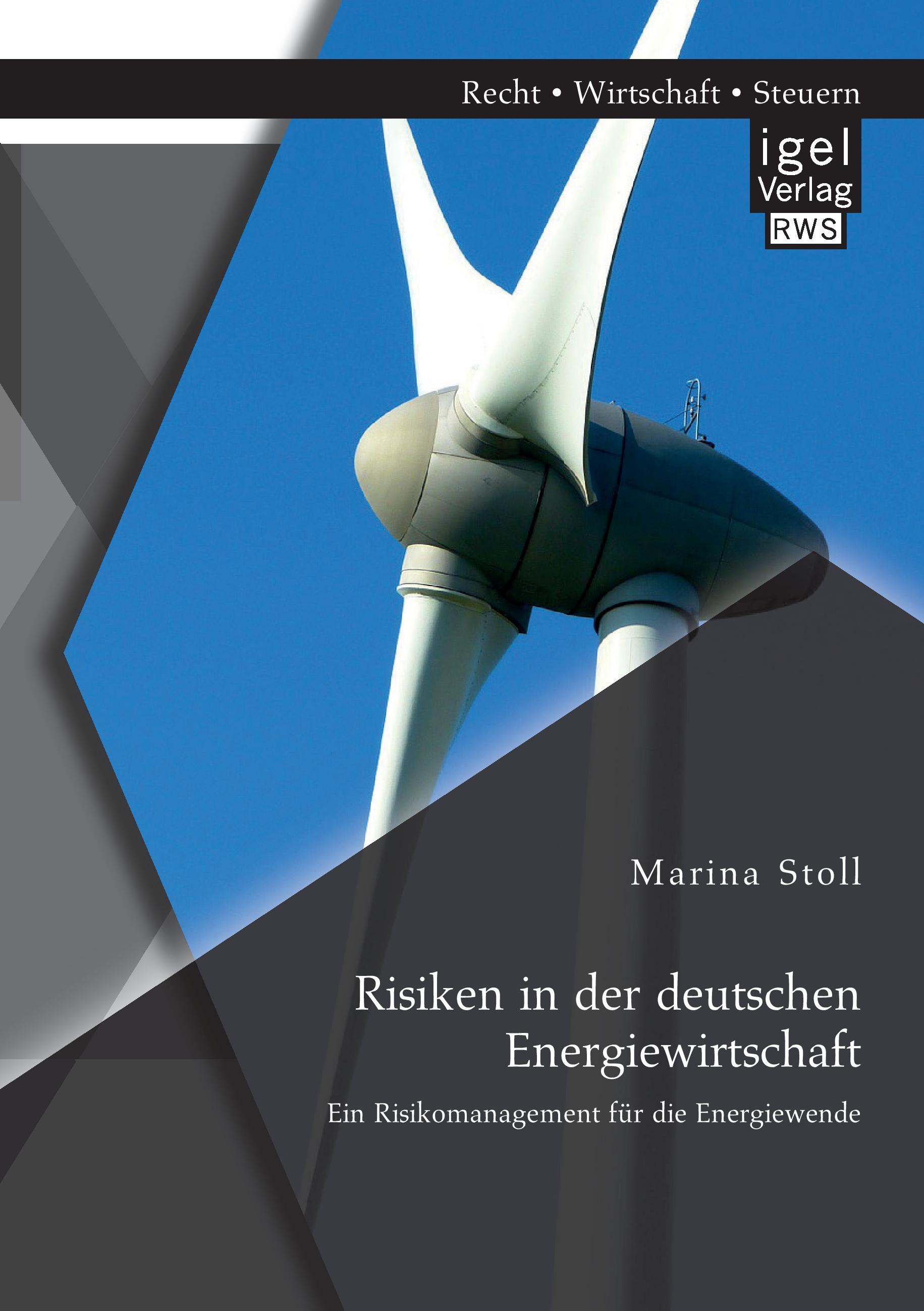 Vorderes Coverbild Risiken in der deutschen Energiewirtschaft. Ein Risikomanagement für die Energiewende