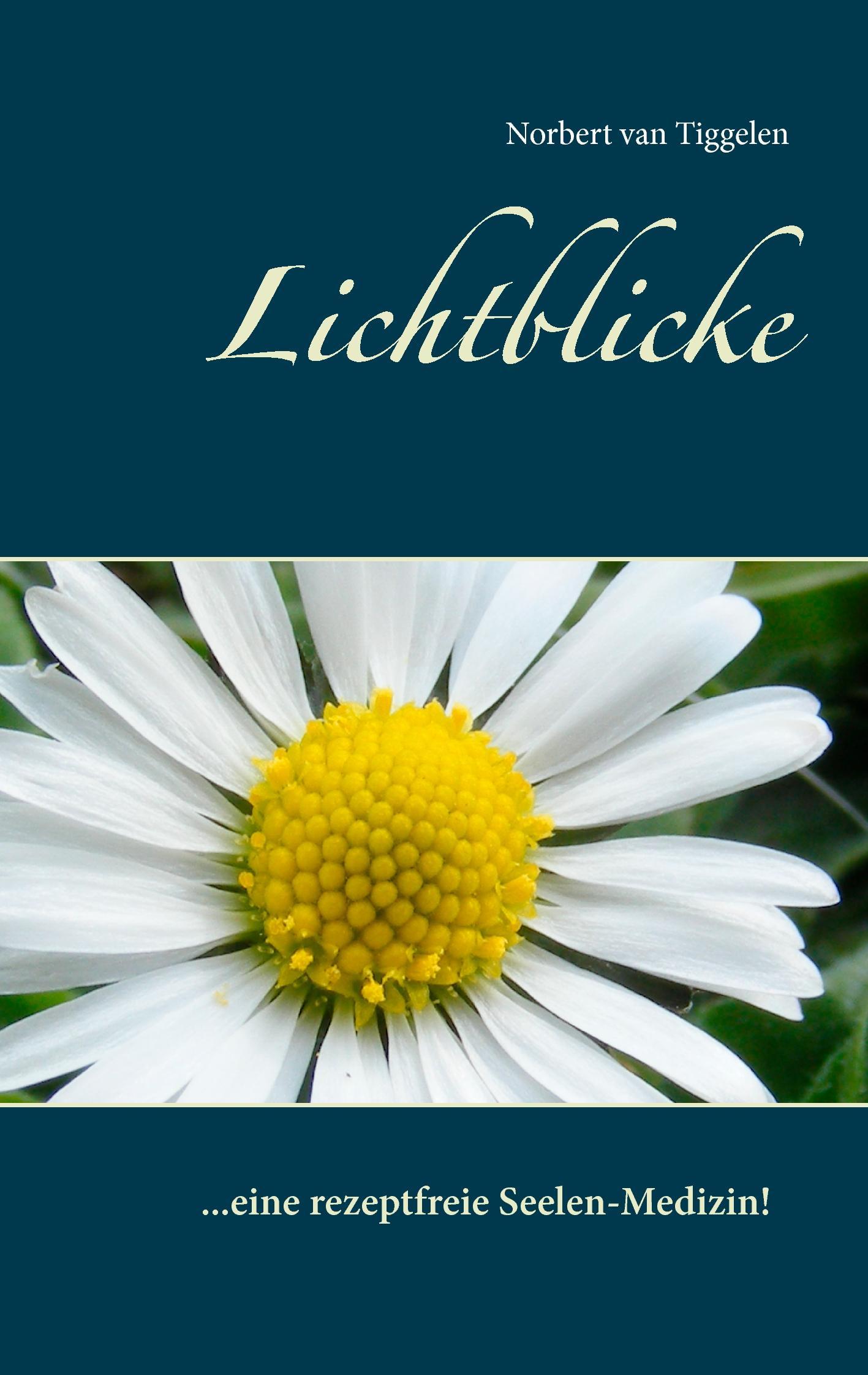 Vorderes Coverbild Lichtblicke