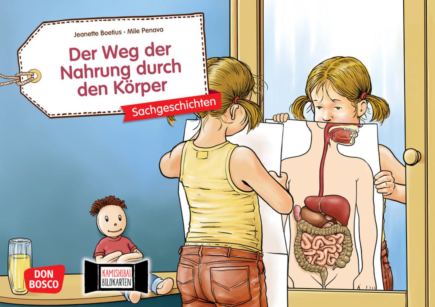 Vorderes Coverbild Der Weg der Nahrung durch den Körper. Kamishibai Bildkartenset