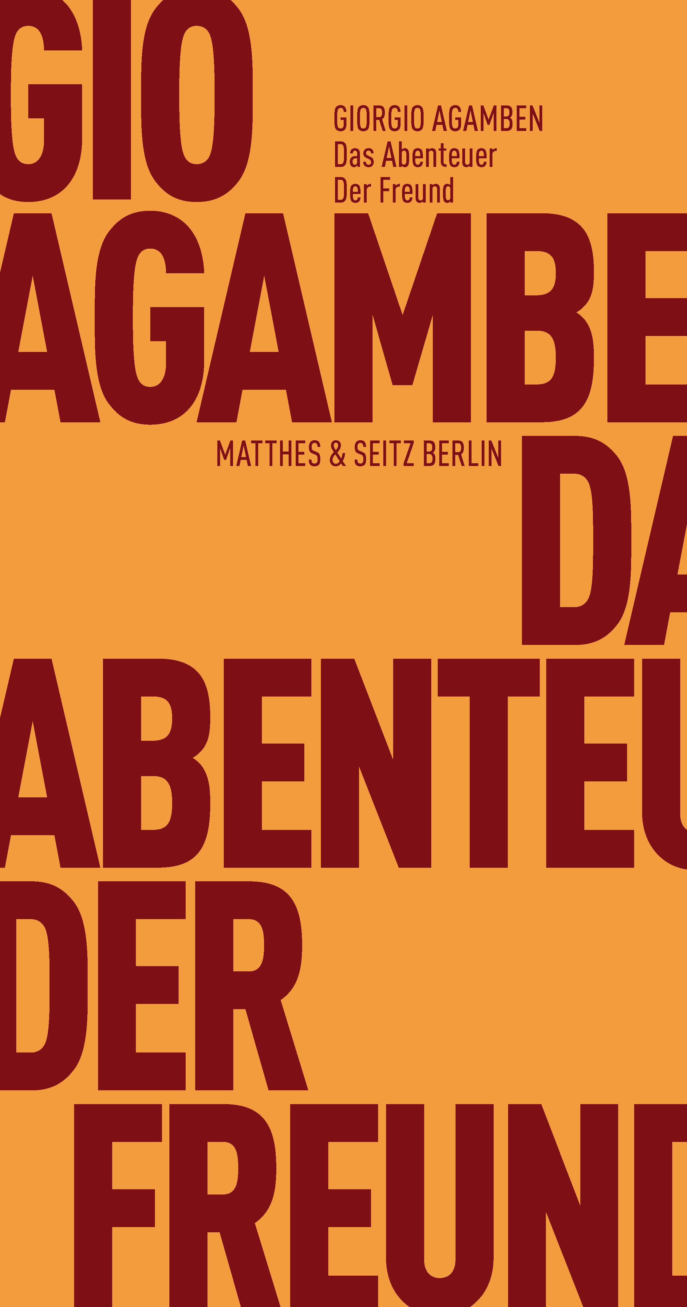 Vorderes Coverbild Das Abenteuer. Der Freund