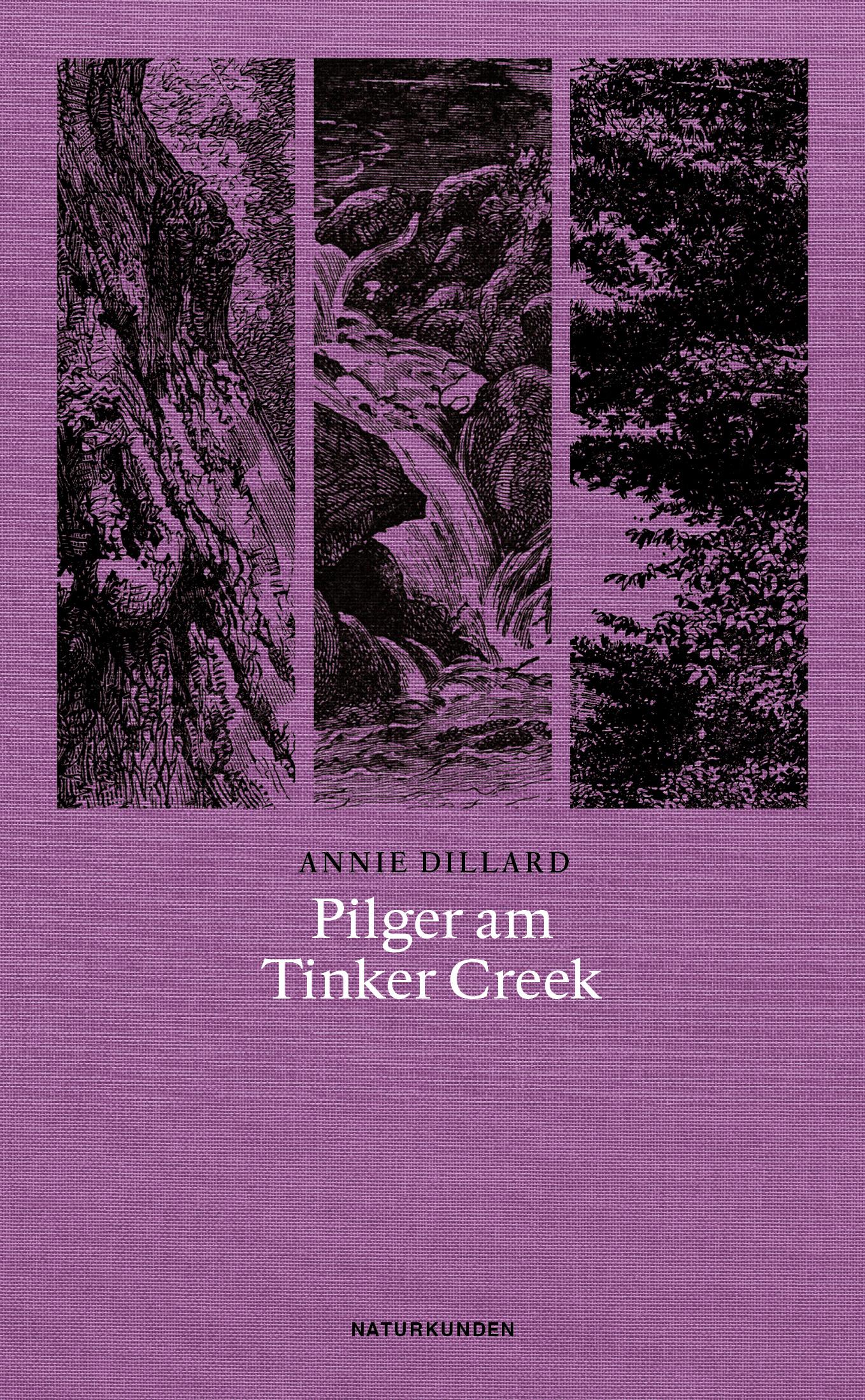Vorderes Coverbild Pilger am Tinker Creek