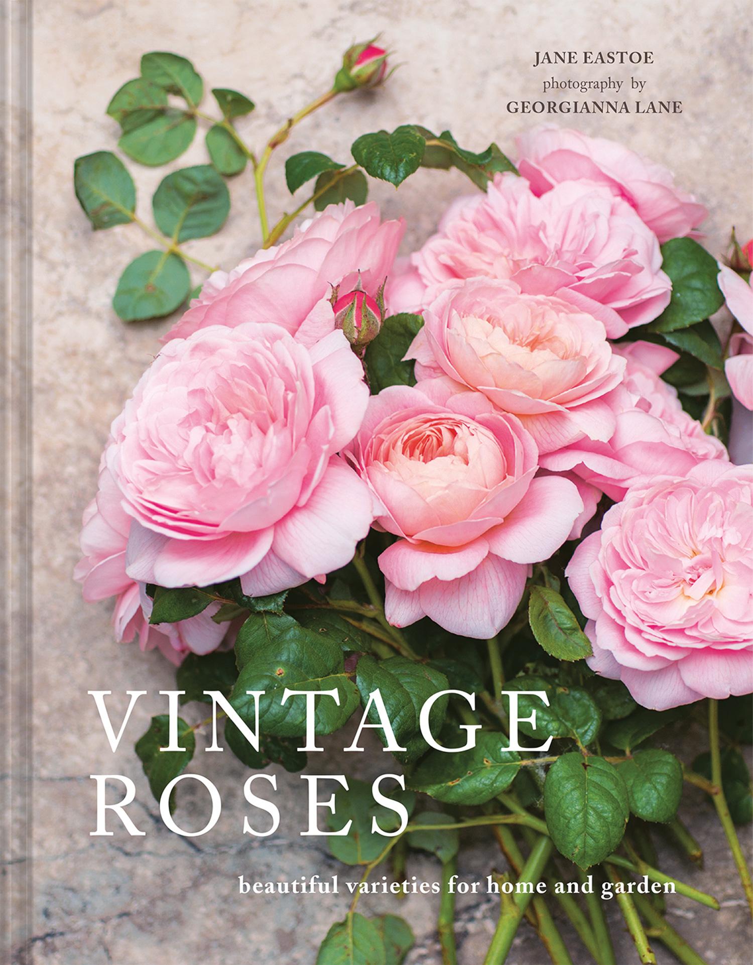 Vorderes Coverbild Vintage Roses