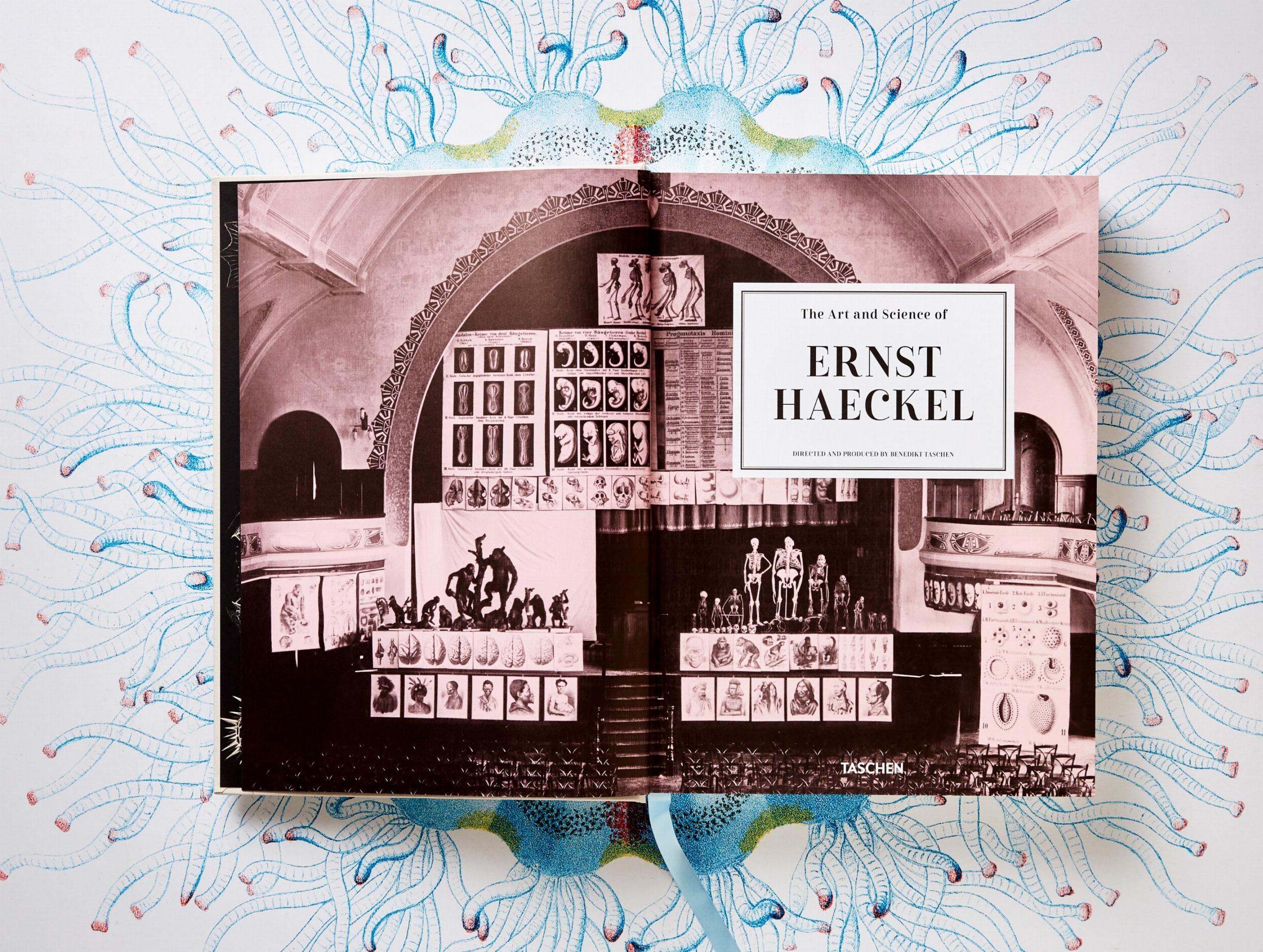 Beispielinhalt (Bild) The Art and Science of Ernst Haeckel