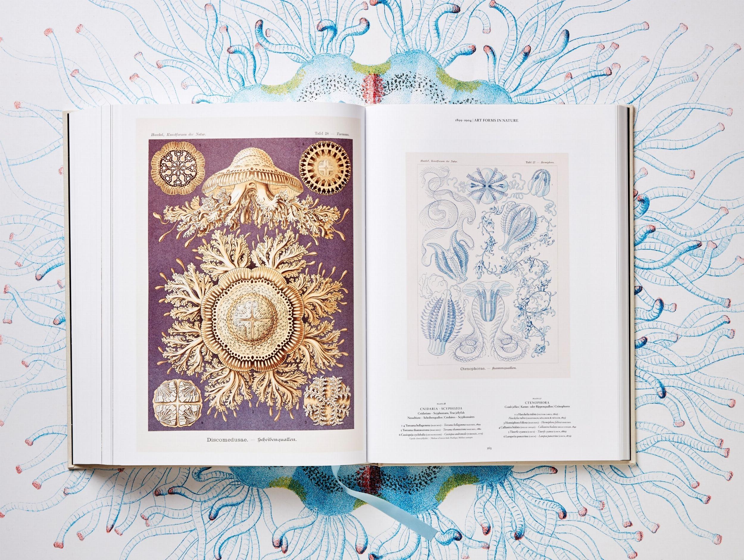Beispielinhalt (Bild) The Art and Science of Ernst Haeckel