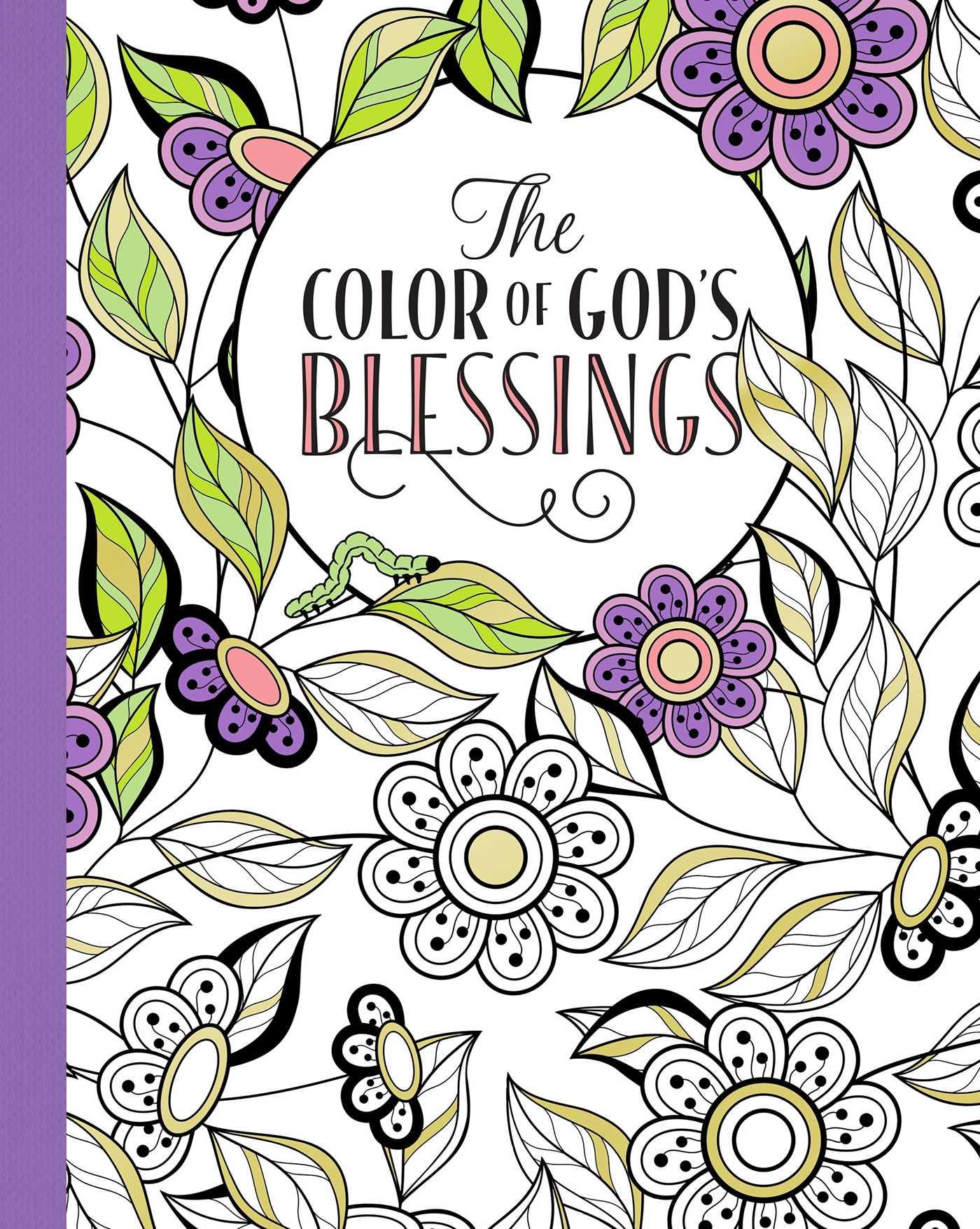 Vorderes Coverbild The Color of God's Blessings