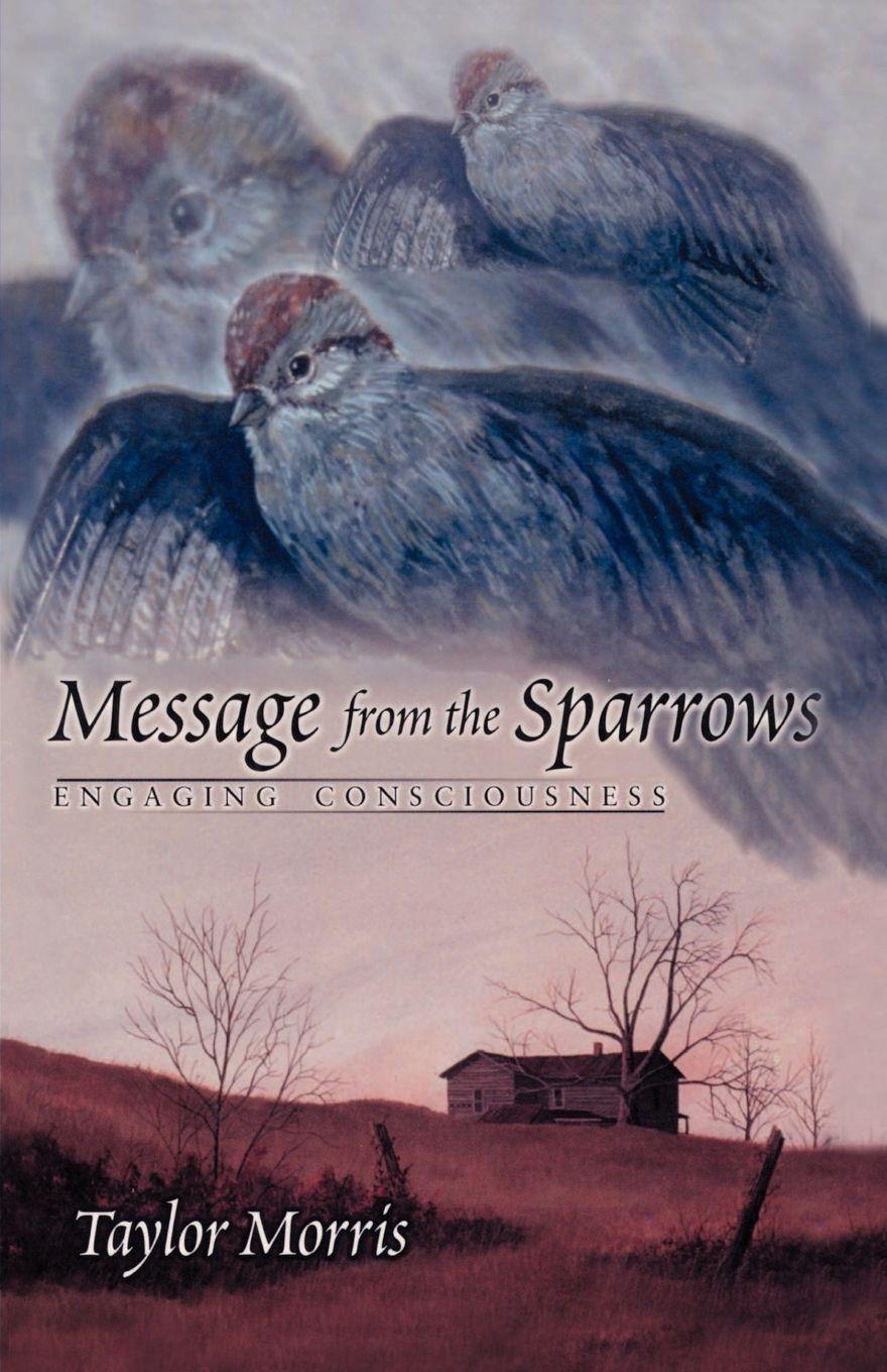 Vorderes Coverbild Message from the Sparrows