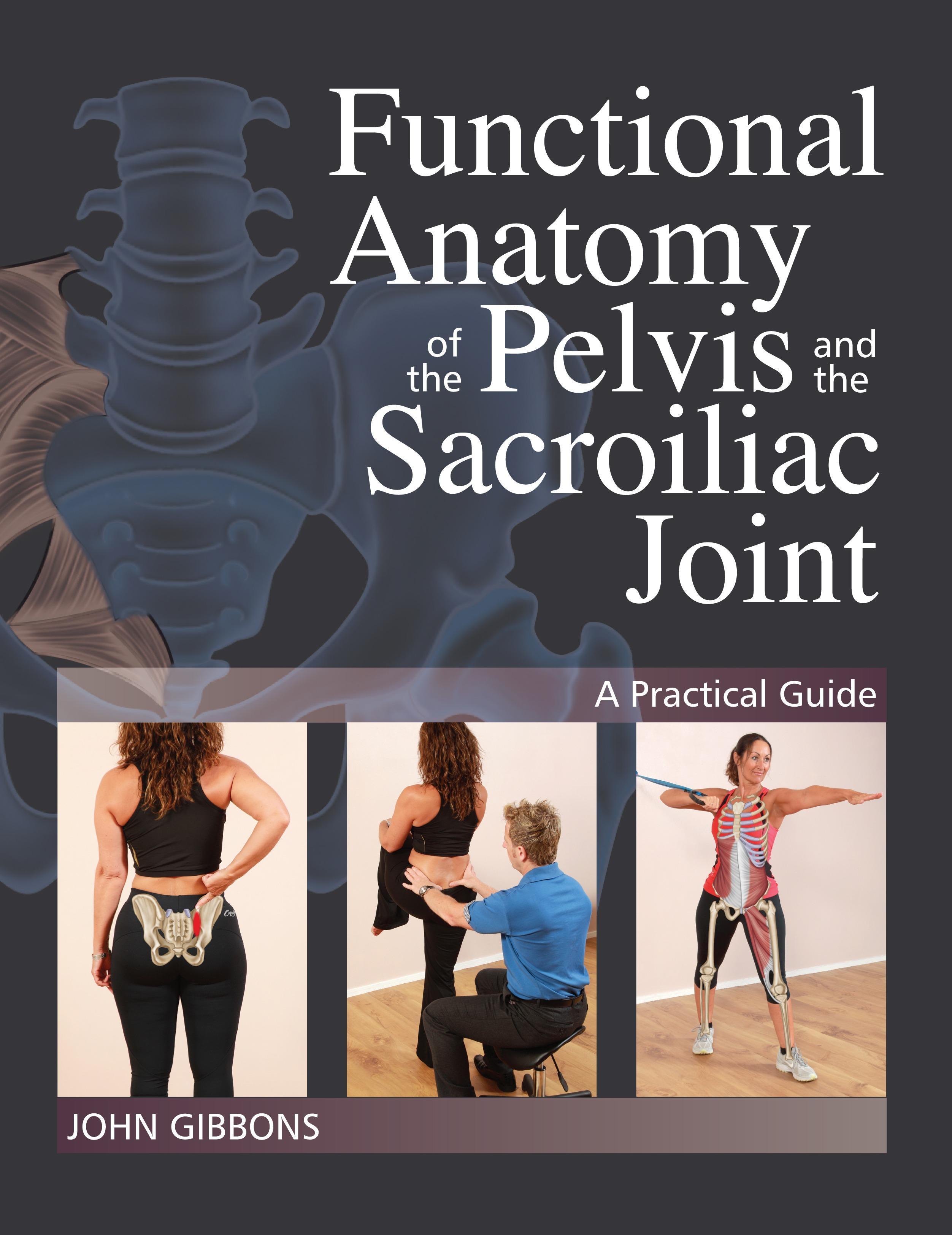 Vorderes Coverbild Functional Anatomy of the Pelvis and the Sacroiliac Joint
