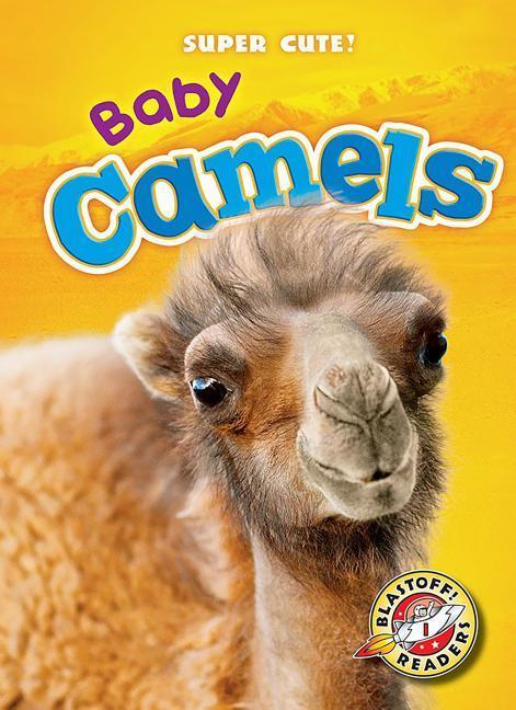 Vorderes Coverbild Baby Camels