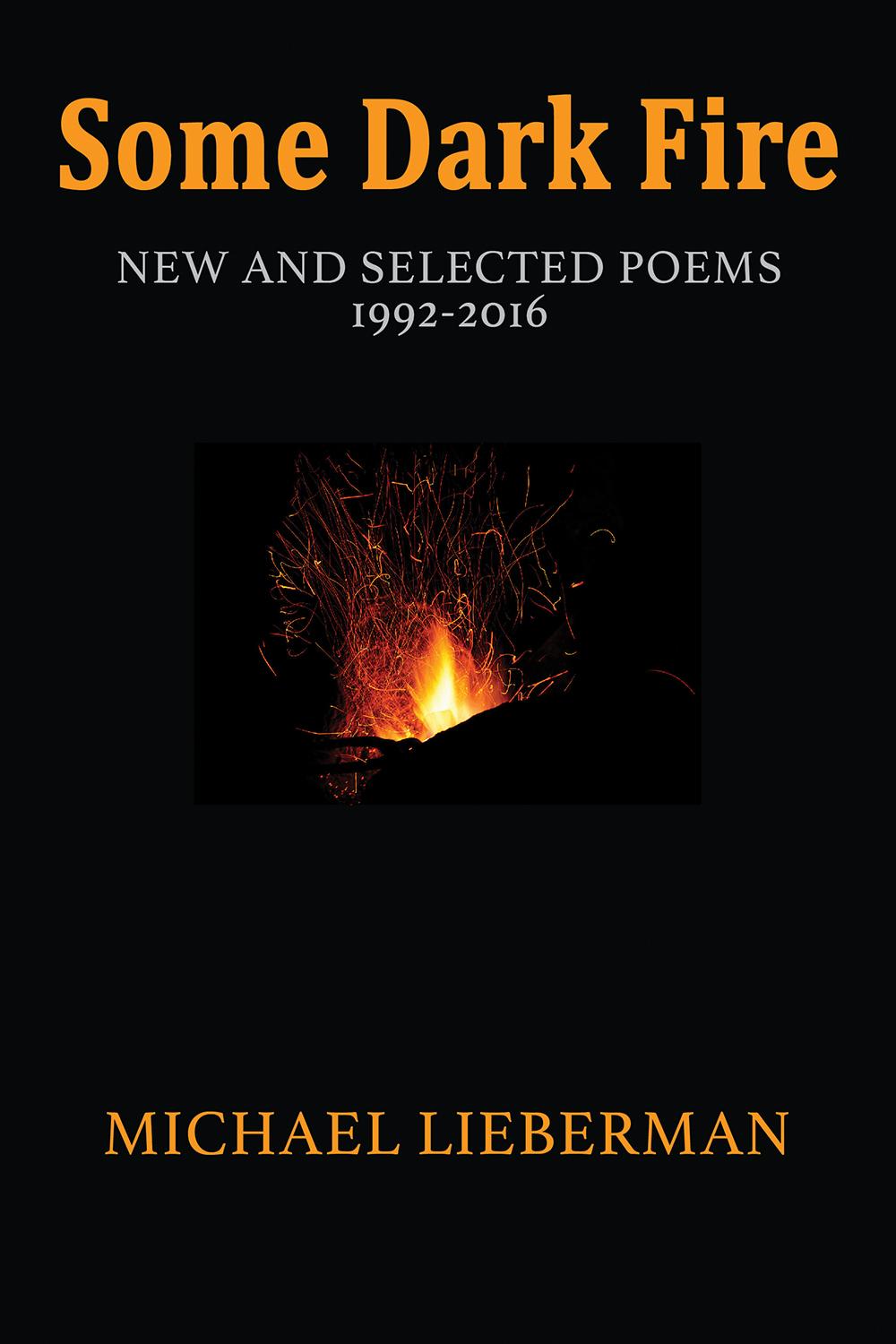 Vorderes Coverbild Some Dark Fire