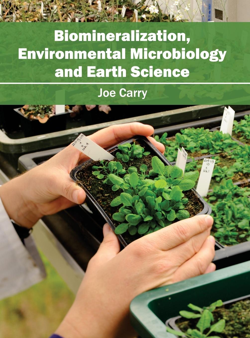 Vorderes Coverbild Biomineralization, Environmental Microbiology and Earth science