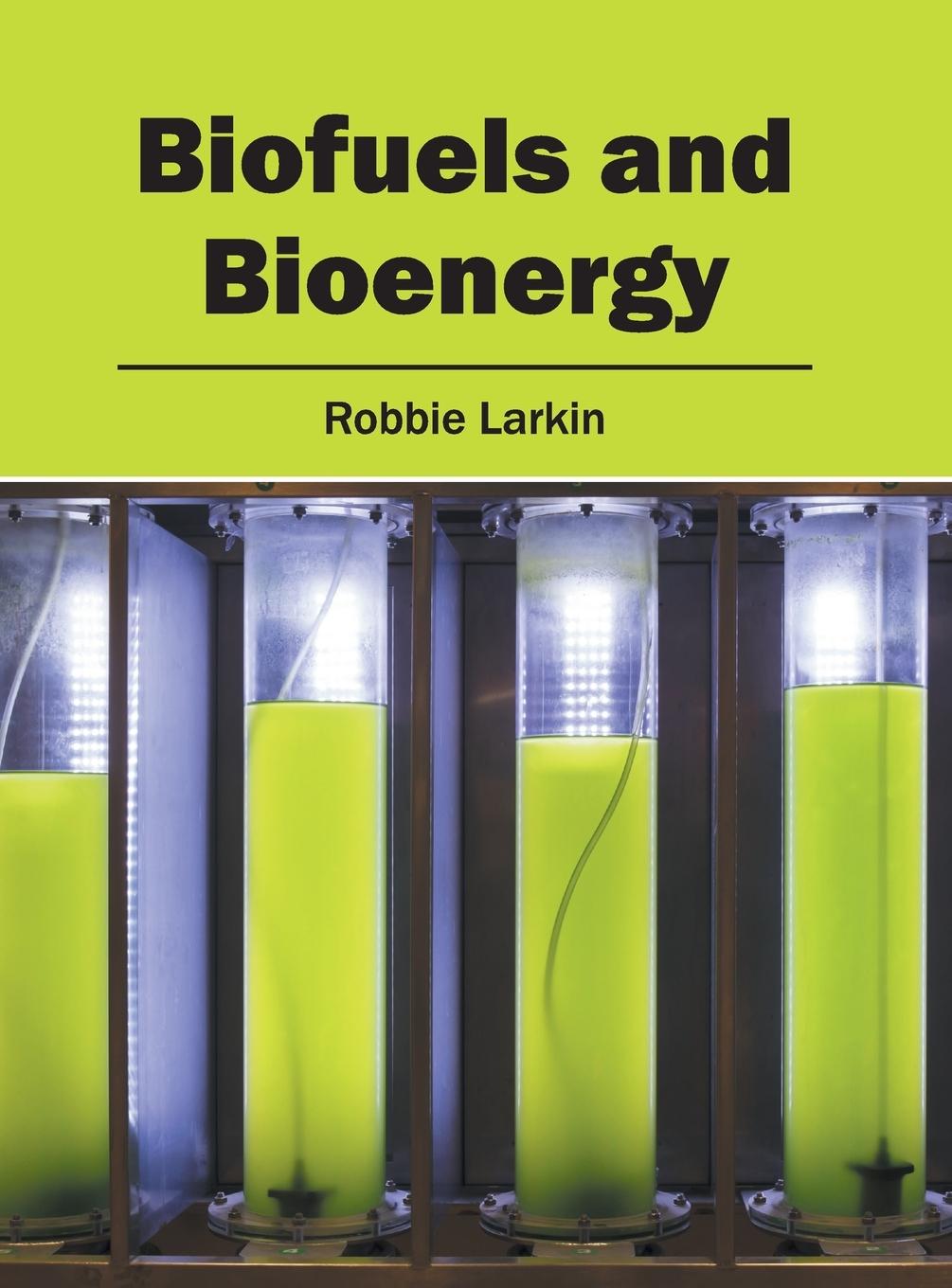 Vorderes Coverbild Biofuels and Bioenergy