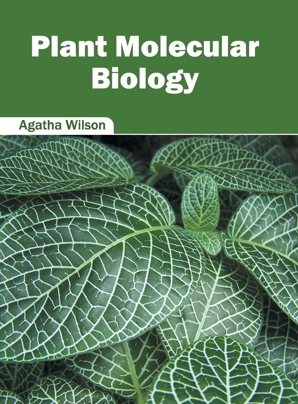 Vorderes Coverbild Plant Molecular Biology