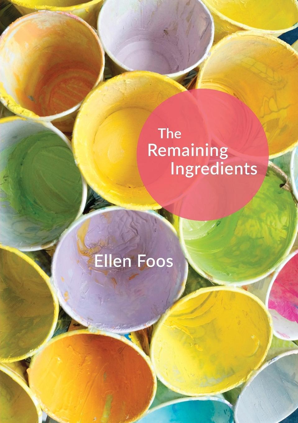 Vorderes Coverbild The Remaining Ingredients