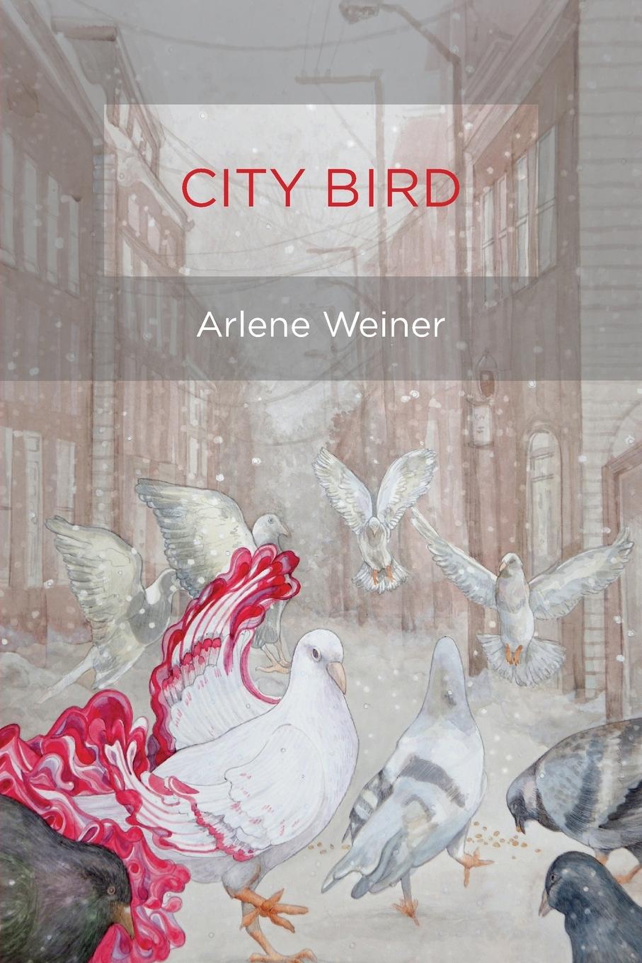 Vorderes Coverbild City Bird
