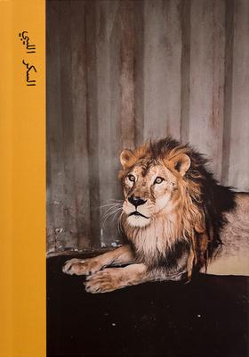 Vorderes Coverbild Michael Christopher Brown: Libyan Sugar