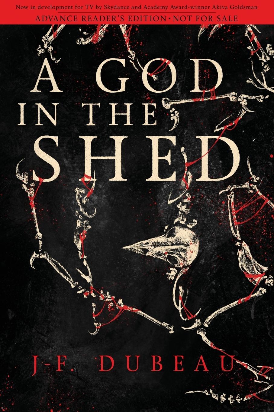 Vorderes Coverbild A God in the Shed