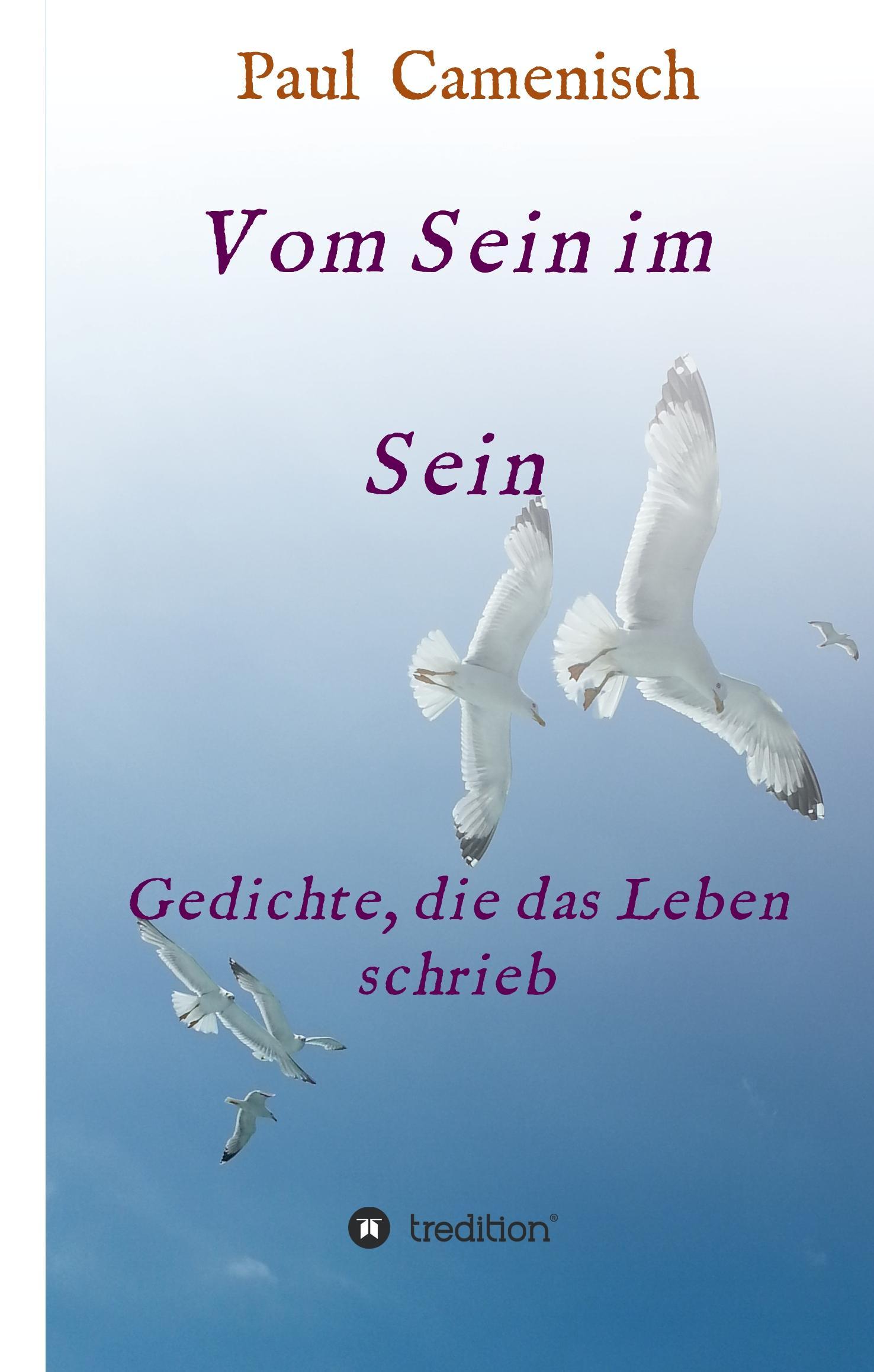 Vorderes Coverbild Vom Sein im Sein
