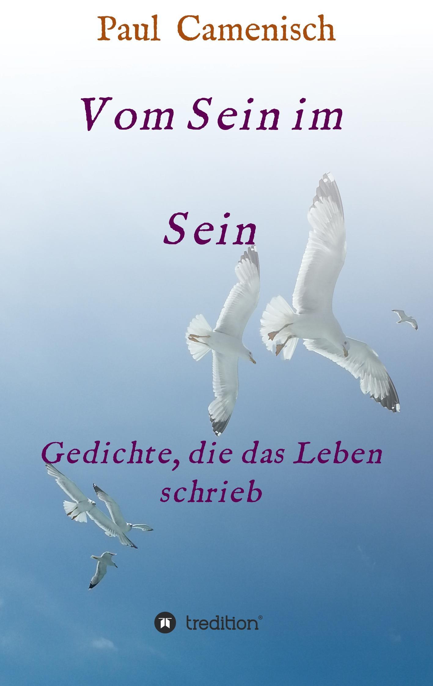 Vorderes Coverbild Vom Sein im Sein