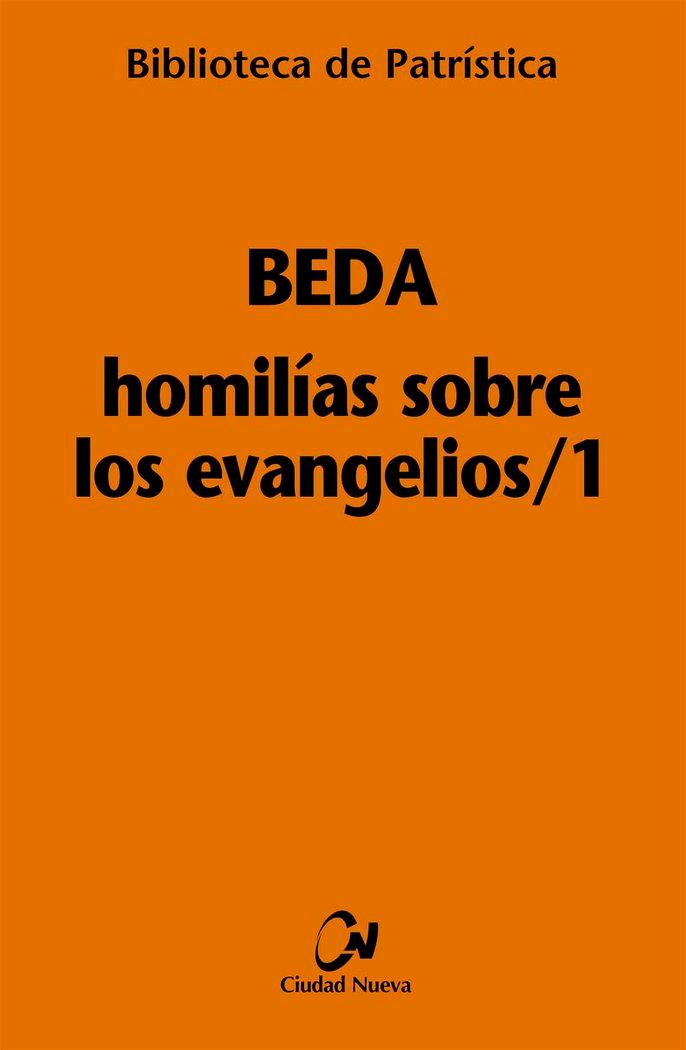 Vorderes Coverbild Homilías sobre los evangelios-1
