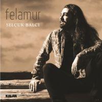 Vorderes Coverbild Felamur