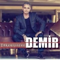 Vorderes Coverbild Tükeniyoruz