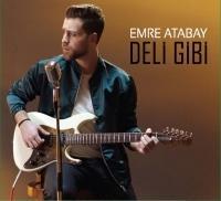 Vorderes Coverbild Deli Gibi