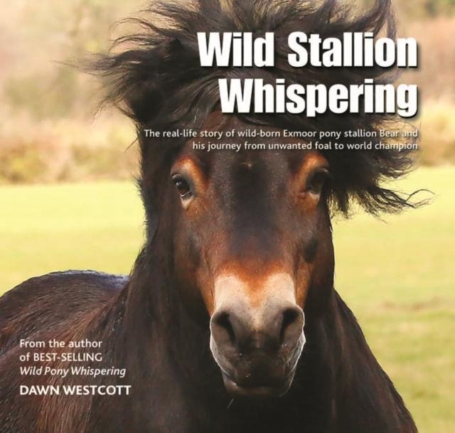 Vorderes Coverbild Wild Stallion Whispering