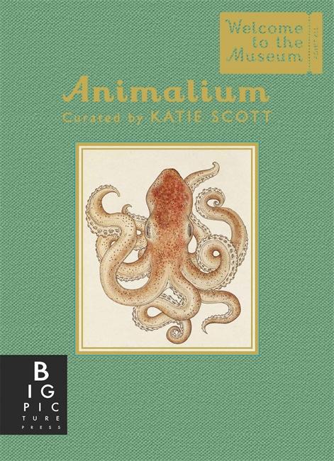 Vorderes Coverbild Animalium (Mini Gift Edition)