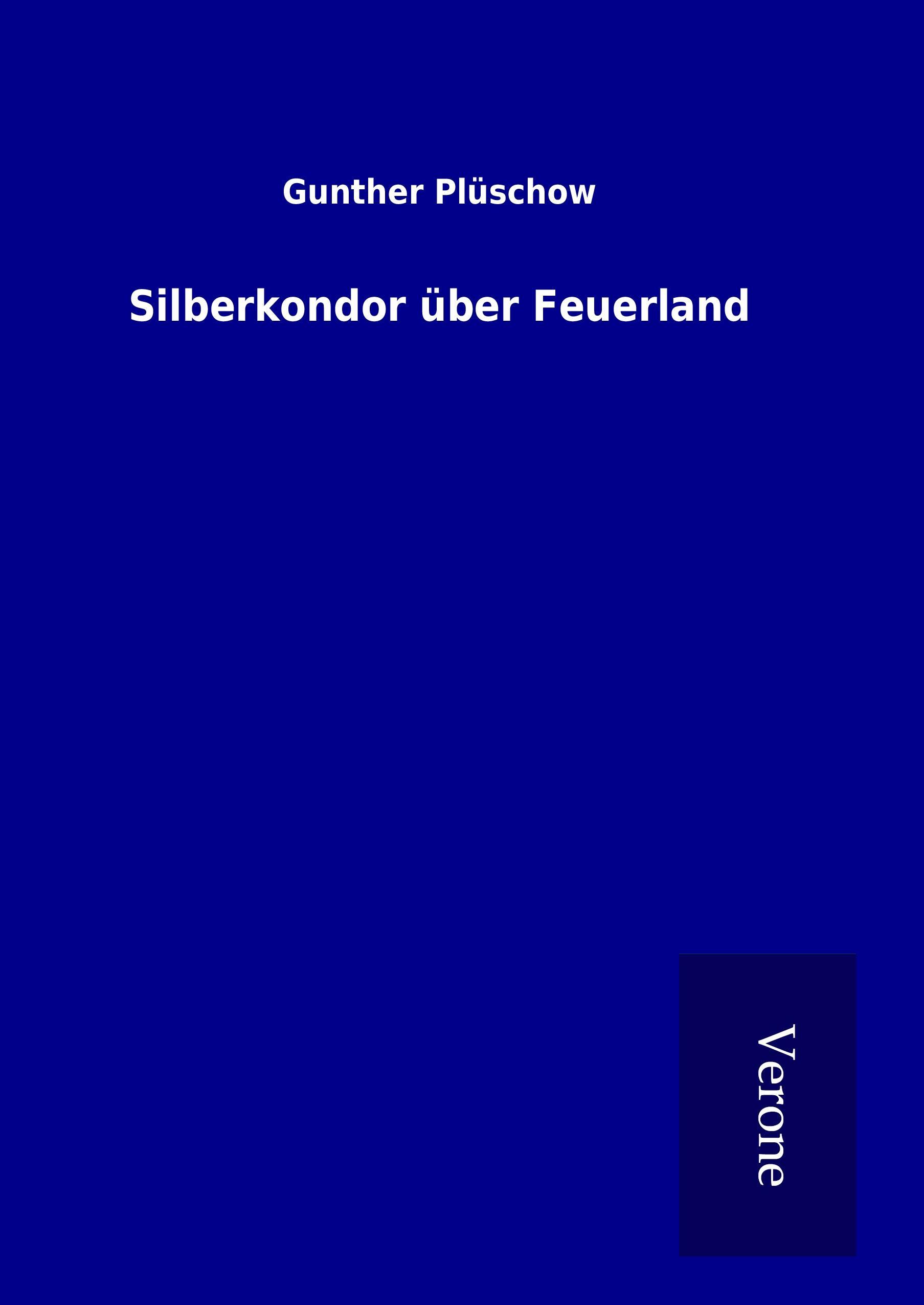 Vorderes Coverbild Silberkondor über Feuerland