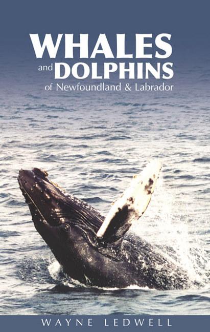 Vorderes Coverbild Whales & Dolphins of Newfoundland & Labrador