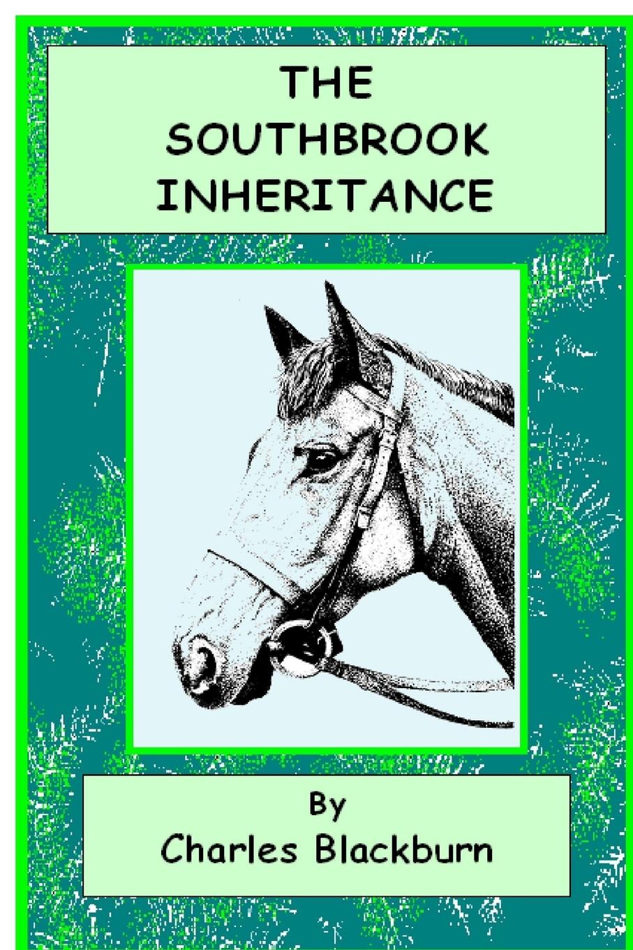 Vorderes Coverbild The Southbrook Inheritance