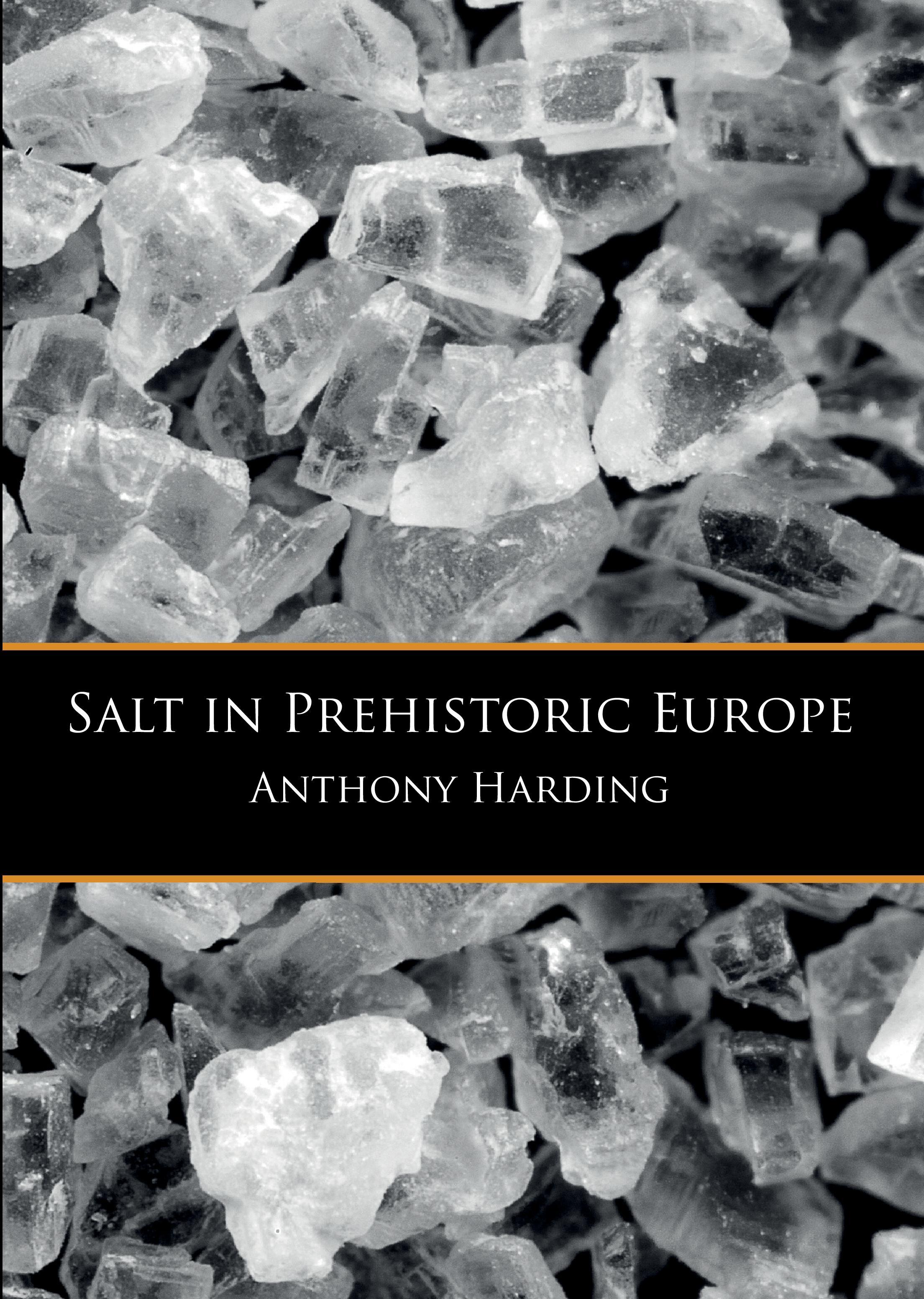 Vorderes Coverbild Salt in Prehistoric Europe