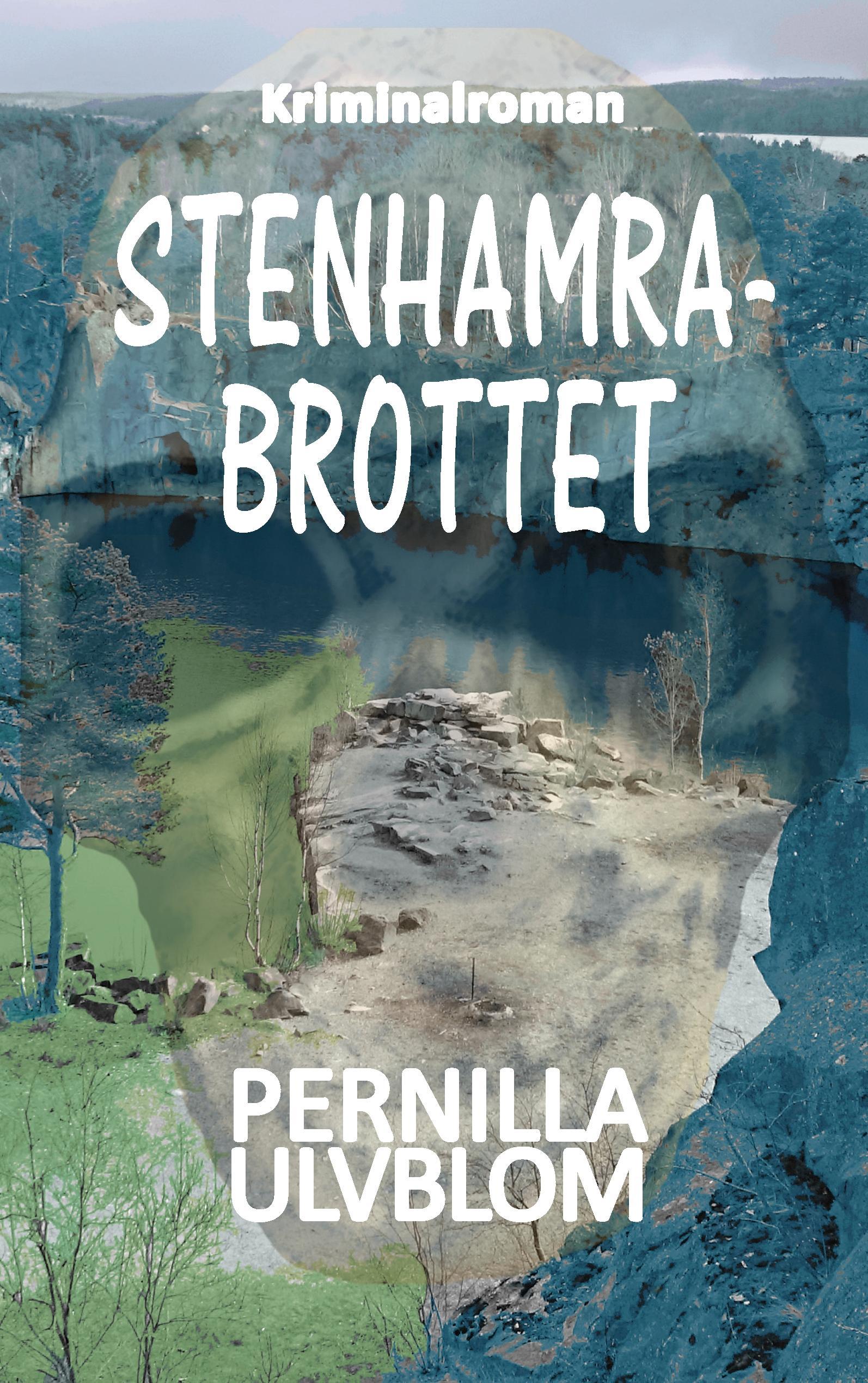Vorderes Coverbild Stenhamrabrottet