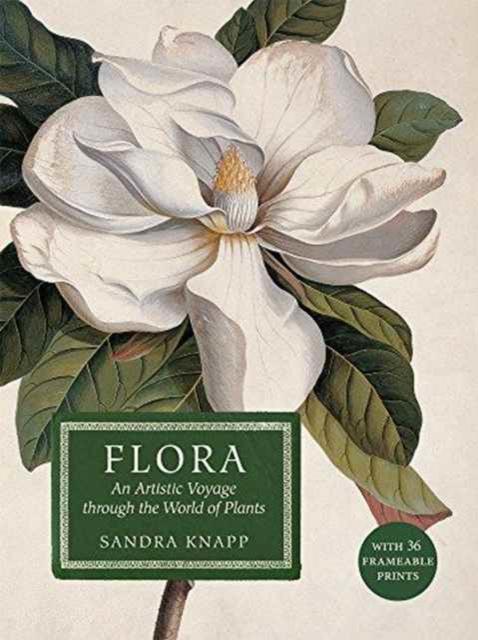 Vorderes Coverbild Flora: An Artistic Voyage Through the World of Plants